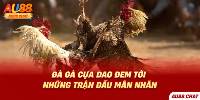 Đá Gà Online - Trải Nghiệm Thế Giới Đá Gà Đỉnh Cao