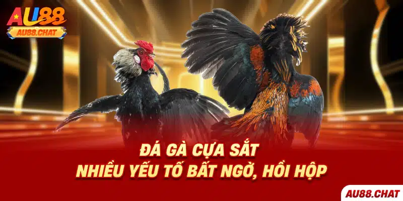 Đá gà Au88 - Lựa chọn giải trí lý tưởng cho người Việt