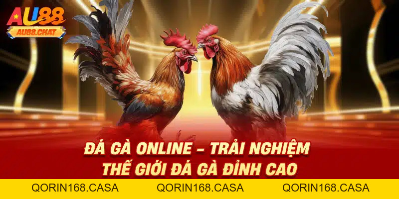 Tin Tức AU88 - Cập Nhật Nhanh Tin Hot Mới Nhất Hiện Nay