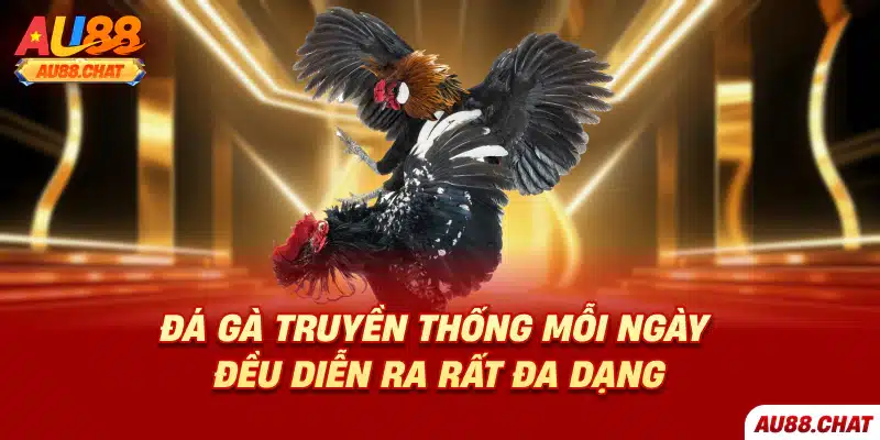 Đá gà Au88 - Lựa chọn giải trí lý tưởng cho người Việt